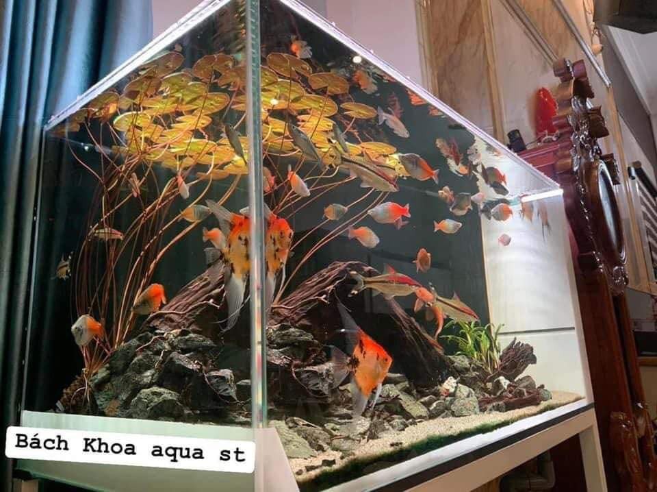 Súng đỏ